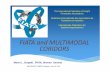 FIATA and MULTIMODAL CORIDORS - UNECE · PDF filemode or multimodal transport means), ... restrictive to use multimodal transport operators. • Brasil multimodal ... document •