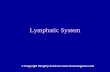 Lymphatic System - 12hr Massage CEU $41 The lymphatic system consists of a fluid called ... (left lymphatic) duct-this is about 38-45 cm ... and thymus gland. • Secondary lymphatic