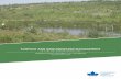 SURFACE AND GROUNDWATER MANAGEMENT - · PDF fileincluding: naphthenic acids (NAs), salts, polycyclic aromatic ... SURFACE AND GROUNDWATER MANAGEMENT IN THE OIL SANDS INDUSTRY Published