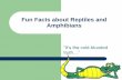 Fun Facts about Reptiles - srcs5.files.  · PDF fileFun Facts about Reptiles and Amphibians “It’s the cold-blooded truth”