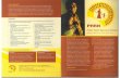 phrsindia.orgphrsindia.org/wp-content/uploads/2015/08/PHRN-brochure-latest.pdf · Institute of Development Studies (IDS), ... Institute (IFPRI). Jan Swasthya Sahyog (JSS) Médecine