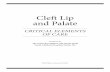 Cleft Lip and Palate - washington.providence.org/media/files/providence... · with Cleft Lip/Palate or Other Craniofacial Anomalies.” American Cleft Palate-Craniofacial Association,