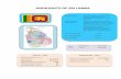 HIGHLIGHTS OF SRI LANKA OF SRI LANKA Provinces (09) Central, Eastern, ... Rawana Ella, Ramboda Ella, ST. Clair water fall Major Rivers : Mahaweli, Kalu, Kelani, Walawe, Gin