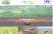 DRAFT Liberia NAPA - UNFCCCunfccc.int/.../ldc/application/msword/liberia_napa_final.doc · Web viewCenter for Environmental Education and Protection of Liberia Monrovia Dr. Fatorma