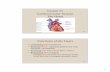 Cardiovascular System The Heart -   · PDF fileChapter 20 Cardiovascular System The Heart 20-2 ... • Blood moves through circulatory system ... 20-23 Events during Cardiac Cycle