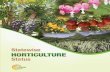 midh.gov.inmidh.gov.in/technology/State-Wise-Horticulture-Status.pdfPunjab Maharashtra Andhra Pradesh Tamil Nadu 2 Himachal Pradesh Maharashtra Karnataka Madhya Pradesh West Bengal