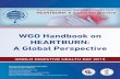 WGO Handbook on HEARTBURN: A Global · PDF fileWorld Digestive Health Day 2015 Steering ... clinical presentation and impact of heartburn in different ... but also between individuals