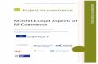 script legal aspects m-commerce final - ec.europa.euec.europa.eu/programmes/proxy/alfresco-webscripts/api/node/content/... · Project m-commerce module: „Legal Aspects of m-commerce“