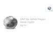 SAP S4 HANA Project Norsk Hydro - ADFAHRER hana hydro sbn 20170510.pdf · A resource-rich, global aluminium company • Global provider of alumina, aluminium and aluminium products