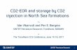 CO2-EOR and storage by CO2 injection in North Sea Petroleum Research CO2-EOR and storage by CO2 injection in North Sea formations. 18 Reservoir simulation models of representative