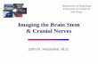 Imaging the Brain Stem & Cranial Nerves - UCSD - Center …spinwarp.ucsd.edu/NeuroWeb/PPT/Brainstem-45.pdf ·  · 2015-08-06Imaging the Brain Stem & Cranial Nerves . Brain Stem Nuclei
