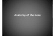 Atlas Anatomy of the nosessu.ac.ir/.../Atlas_Anatomy_of_the_nose_and_paranasa… ·  · 2013-11-26Cavernous sinus. Olfactory Nerve SupplyOlfactory Nerve Supply. ... • Sinus ostium
