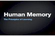Human Memorymrtestasclass.weebly.com/.../85297440/human_memory.pdf · Basics of Memory All brains are different—>Many ways humans learn and remember info. Visual learners (learn