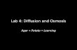 Lab 4: Diffusion and Osmosis - Central Bucks School · PDF fileLab 4: Diffusion and Osmosis Agar + Potato ... –Procedure 1 is an investigation of diffusion through a cube of agar.