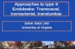 Approaches to type II Endoleaks: Transcaval, … to type II Endoleaks: Transcaval, transarterial, translumbar Saher Sabri ,MD University of Virginia