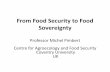 From Food Security to Food Sovereignty -  · PDF fileFrom Food Security to Food Sovereignty ... much more than having adequate purchasing ... centralised and linear