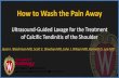How to Wash the Pain Away - UW Radiology · PDF fileHow to Wash the Pain Away Ultrasound-Guided Lavage for the Treatment of Calcific Tendinitis of the Shoulder Jason I. Blaichman MD,