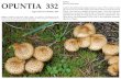 FUNGI OPUNTIA 332 - · PDF fileOPUNTIA 332 Edgar Allan Poe’s ... so Ocker takes the cities of Poe’s life in ... Poe had seve ral re sidence s in New York City , few of which have