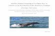 Benthic habitat mapping of Cardigan Bay by Hannah … Benthic Habitat Mapping of Cardigan Bay, in relation to the distribution of the Bottlenose Dolphin (Tursiops truncatus). A dissertation