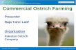Commercial Ostrich Farming - Sindh Board Of Investment ... Ostrich Farming Presenter Raja Tahir Latif Organization Pakistan Ostrich ... â€¢ ZTBL and other banks â€¢ Export
