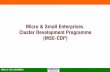 Micro & Small Enterprises Cluster Development … Development Export Promotion.pdfMicro & Small Enterprises Cluster Development Programme ... Detailed Project Report ... (MSME) Project