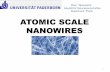 ATOMIC SCALE NANOWIRES - uni-paderborn.dehomepages.uni-paderborn.de/wgs/Dlehre/HS_Atomic_scale_wires.pdf · ATOMIC SCALE NANOWIRES ... What is a Nanowire? •It is a nanostructure