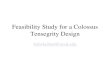 Feasibility Study for a Colossus Tensegrity Designthe-colossus.com/concept/library/colossus_2012_waterton_skelton.pdf · 4.5988e+006 4.5988e+006 4.5988e+006 4.5988e+006 4.5988e+006