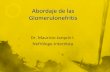 Dr. Mauricio Jarquín I. Nefrólogo-Internistarevistaamicac.com/Glomerulonefritis.pdf · Glomeruloesclerosis segmentaria y focal : Reflujo vesico-ureteral, ... Goodpasture , Granulomatosis
