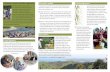 A fantastic summer activities programme:Restoration · PDF fileA fantastic summer activities programme: ... restoration story with the wider ... balanced diets. Whangawehi Catchment