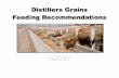 Summary of Distillers Grains Feeding Recommendations for · PDF file · 2007-09-21Summary of Distillers Grains Feeding Recommendations for Beef x“WDGS can be added to corn-based