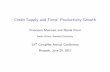 Credit Supply and Firms' Productivity Growth - · PDF fileCredit Supply and Firms’ Productivity Growth Francesco Manaresi and Nicola Pierri Bank of Italy, Stanford University 13th