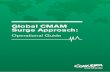 Global CMAM Surge Approach - Concern Worldwide · PDF filethe further development of the CMAM Surge Approach with their article in Field Exchange in ... Capacity review ... Health