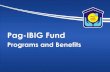 Pag-IBIG Fund - jvofi.orgjvofi.org/wp-content/uploads/2017/09/Pag-IBIG-Fund-Programs-and... · A.Open to all Pag-IBIG Fund members with approved MPL for the period ... EMERGENCY SUPPORT