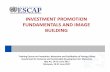 INVESTMENT PROMOTION FUNDAMENTALS AND IMAGE · PDF file · 2017-07-04INVESTMENT PROMOTION FUNDAMENTALS AND IMAGE BUILDING ... Formulating an effective investment promotion strategy