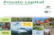 Private capital for nature conservation - OroVerde · PDF filePrivate capital. for nature conservation. COULD IMPACT INVESTMENTS BE A SOLUTION? ... return as an incentive for private