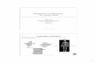Introduction to Physiology: The Human Body - TerpConnectjpfisher/index_files/lecture1.pdf · Introduction to Physiology: The Human Body ... • The liver acts to chemically modify