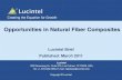 Opportunities in Natural Fiber  · PDF fileOpportunities in Natural Fiber Composites ... reinforced composites ... Composites (fiber reinforced plastics
