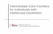 Intermediate Care Facilities for Individuals with ... 101 for ICF... · Intermediate Care Facilities for Individuals with Intellectual Disabilities . 2 Vision for ICF-IID program
