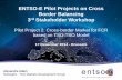 ENTSO-E Pilot Projects on Cross Border Balancing 3rd ... codes documents... · ENTSO-E Pilot Projects on Cross Border Balancing 3rd Stakeholder Workshop Pilot Project 2: Cross-border