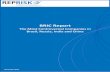 BRIC Report - RepRisk BRIC... · BRIC Report The Most ... Maruti Suzuki is the most controversial due to labor and union ... project in the Barents Sea has also come under fire for