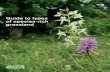 Guide to types of species-rich grassland guide.pdf · also be grass-like sedges ... purple common knapweed, the yellow-flowered bird’s- ... This type of grassland is usually herb-rich,
