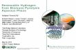 Renewable Hydrogen from Biomass Pyrolysis Aqueous · PDF fileRenewable Hydrogen from Biomass Pyrolysis ... The slides from this presentation should not be ... Microbial fuel cell with