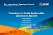 Developer's Guide to Geodata Access in ArcGIS as a spatial type. ... return and set spatial properties. ... Obtained from classes sequence or procedure-