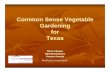 Common Sense Vegetable Gardening for Texasagrilifecdn.tamu.edu/.../files/2012/03/Vegetable-gardening-Frank-3.pdf · Common Sense Vegetable Gardening for Texas Steve Chaney CEACEA--HorticultureHorticulture