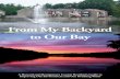 From My Backyard to Our Bay - Montgomery County · PDF filecreate “dead zones” where fish, ... Every one of us. Every drop of water that falls on Howard and ... From My Backyard