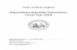 Expenditure Schedule Instructions Fiscal Year 2018budget.wv.gov/stateagencyforms/expenditureschedules/Documents/FY... · Expenditure Schedule Instructions Fiscal Year 2018 ... On