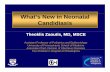 What’s New in Neonatal Candidiasis - Bertini 2005 – Healy 2005 and 2008 – Manzoni2006 – Uko 2006 – Aghai 2006 – Weitkamp 2008. Fluconazole Prophylaxis: Randomized Placebo-Controlled