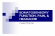 SOMATOSENSORY FUNCTION, PAIN, & HEADACHEcatstcmnotes.com/downloads/Pathophysiology/Pathophysiology 2... · The trick is to abort the headache w/ the onset of the aura. MIGRAINES ETIOLOGY