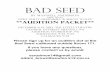 Bad Seed - Theatre Ink : Newton North's Teaching and ... seed/bspacket.pdf2 Information Please sign up for one audition slot on the callboard outside Room 171 and pick up a script.