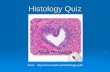 Histology Quiz - gserianne.com : provided by Just Hostgserianne.com/science/GerianneBio101/Laboratory/Online...Reminder: Instructions for Online Laboratory Quizzes 1. Study the material